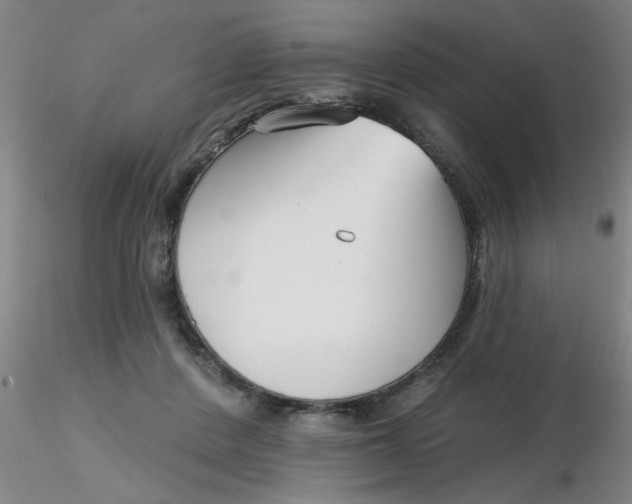 X0000116300408200912211906