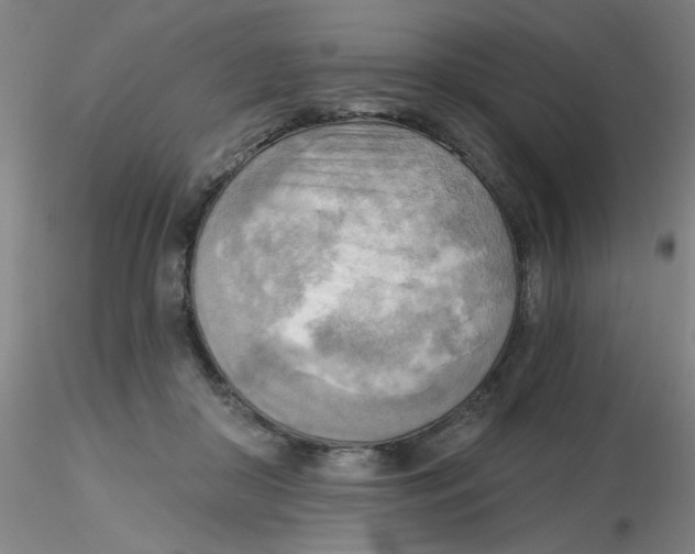 X0000116300410200912211905