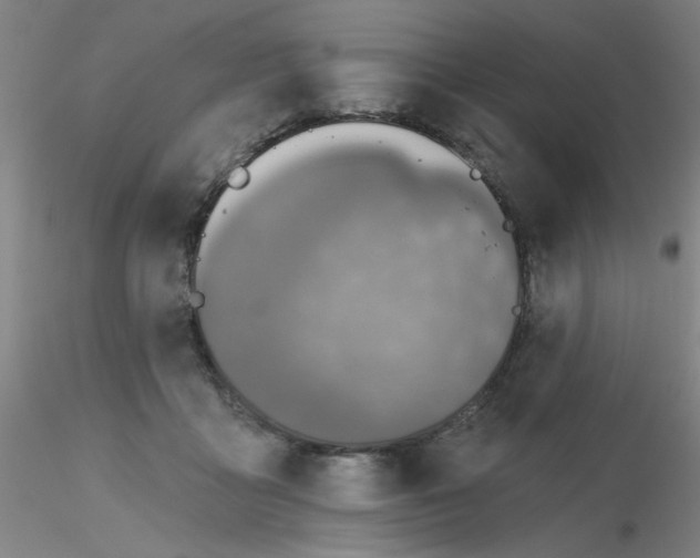 X0000116300411200912211905