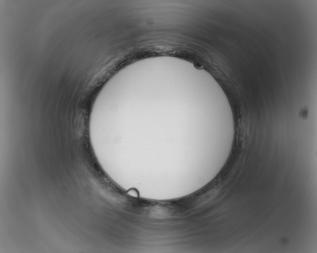 X0000116300412200912211905