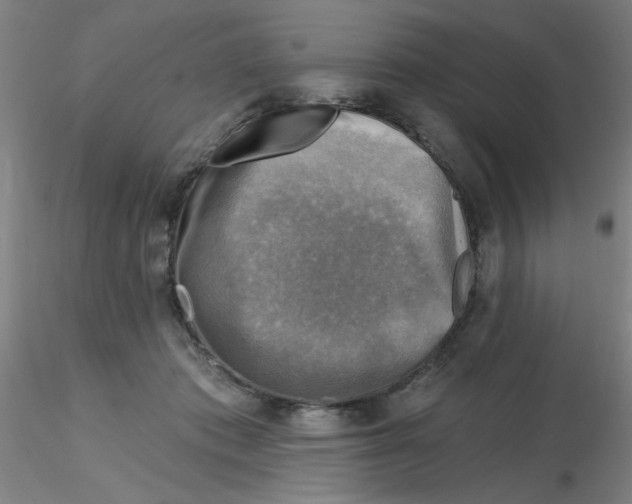 X0000116300413200912211905