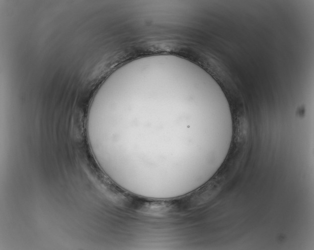 X0000116300414200912211905