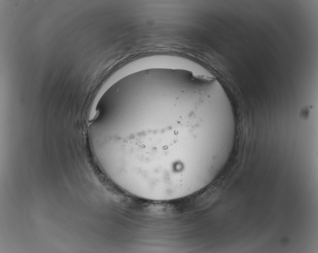 X0000116300415200912211905