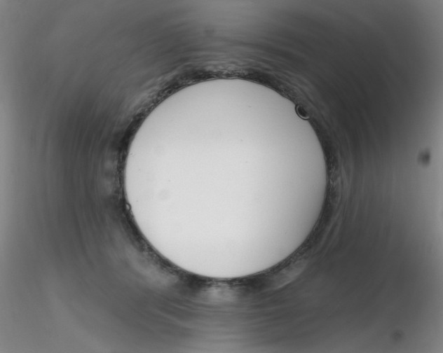 X0000116300416200912211905