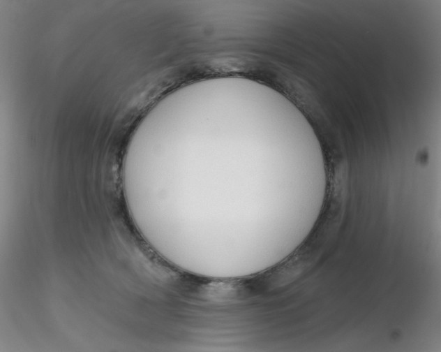 X0000116300418200912211905