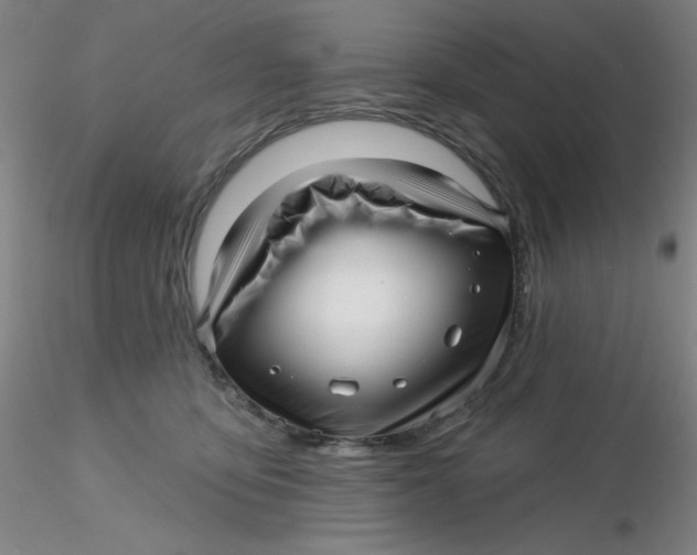 X0000116300419200912211905