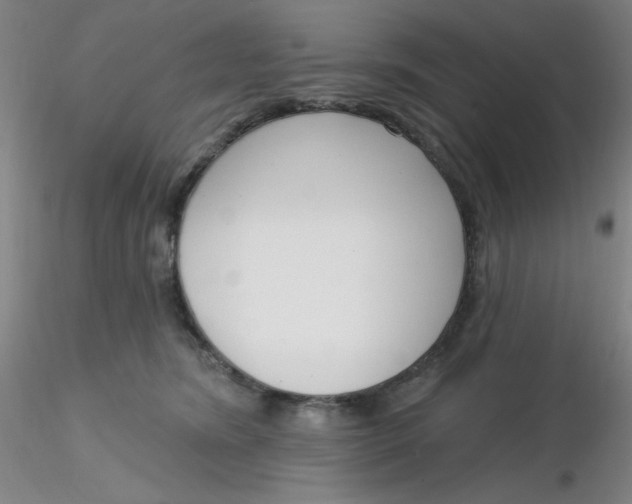 X0000116300420200912211905