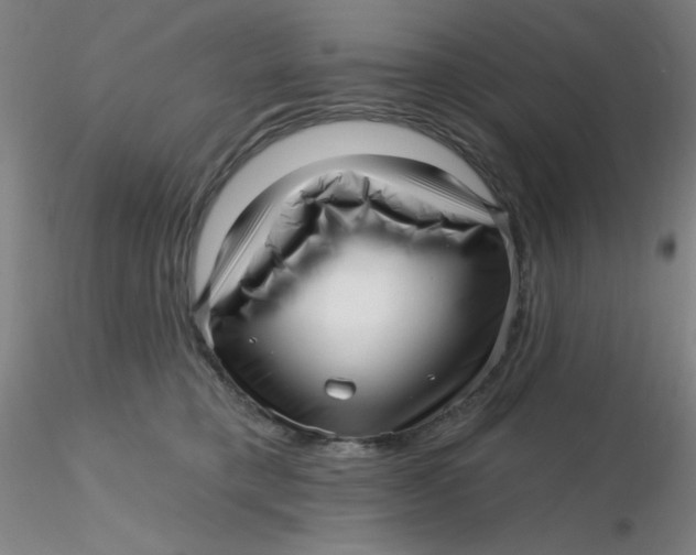 X0000116300421200912211905