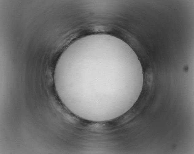 X0000116300422200912211905