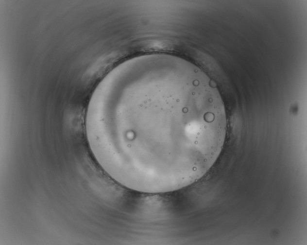 X0000116300423200912211905