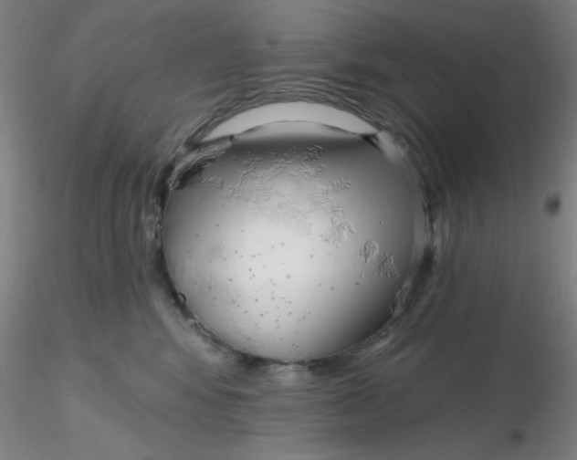 X0000116300424200912211905