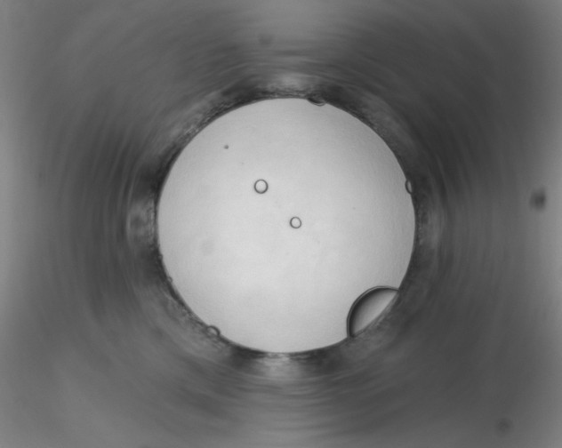 X0000116300425200912211905