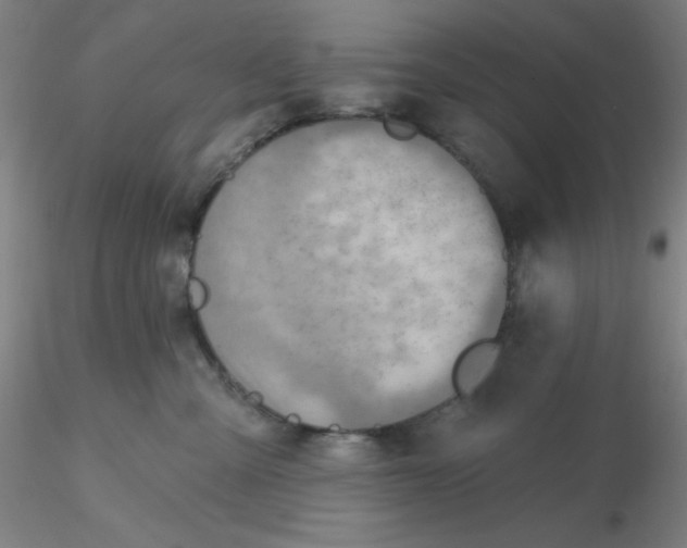 X0000116300427200912211905