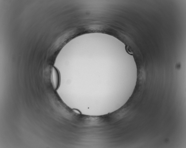 X0000116300428200912211905