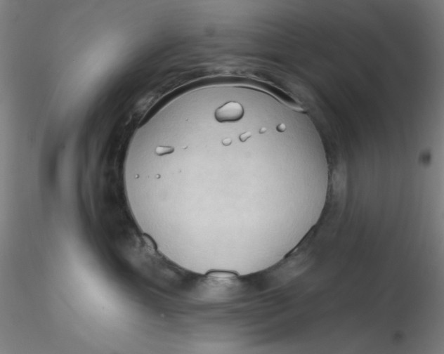 X0000116300429200912211905