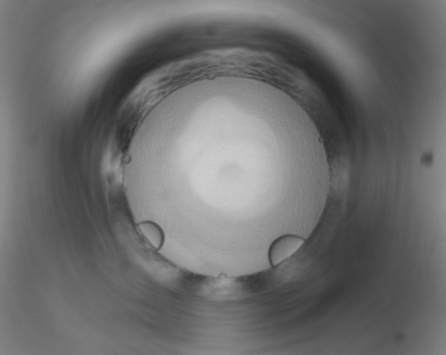 X0000116300431200912211905