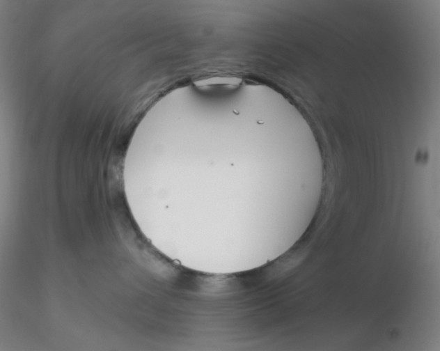 X0000116300432200912211905