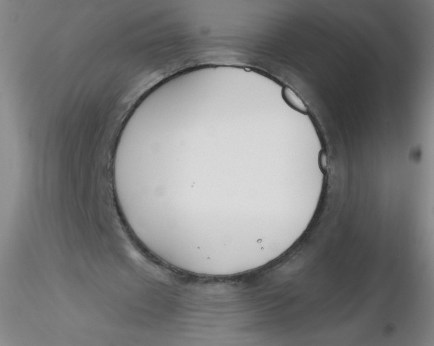 X0000116300433200912211905