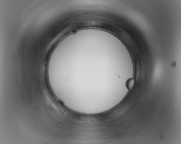 X0000116300435200912211905