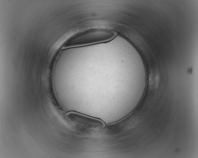 X0000116300436200912211905