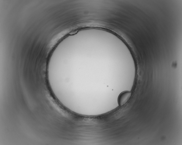 X0000116300437200912211905