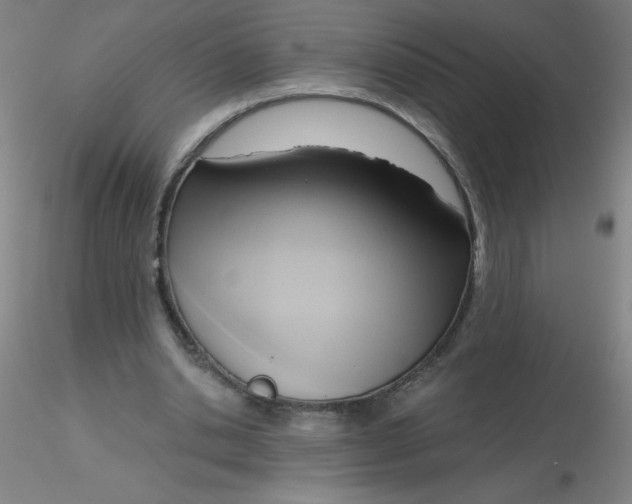 X0000116300438200912211905