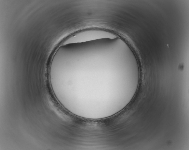 X0000116300439200912211905