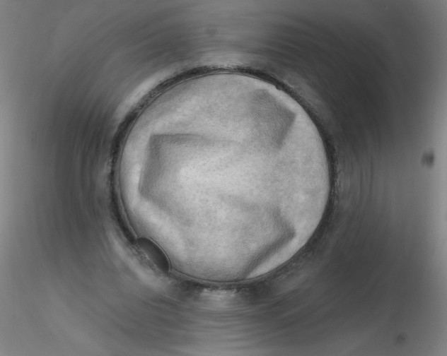 X0000116300440200912211905