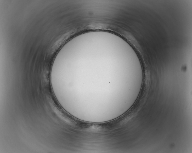 X0000116300441200912211905