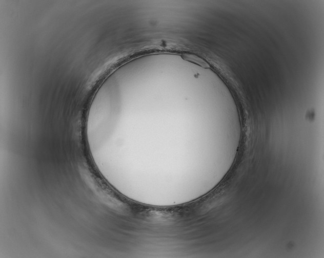 X0000116300442200912211905