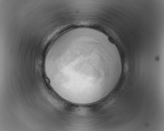 X0000116300444200912211905