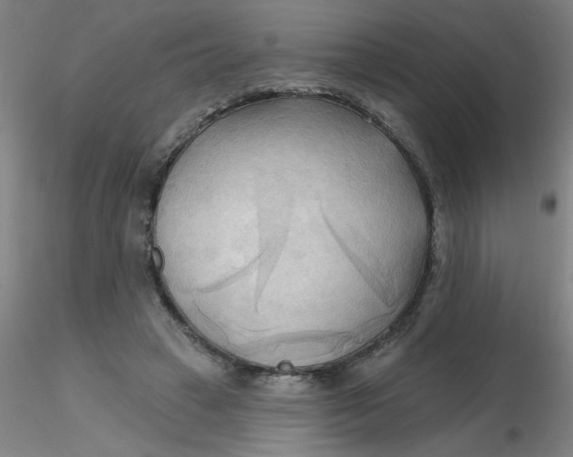 X0000116300449200912211905