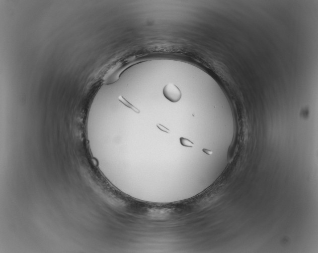 X0000116300450200912211905