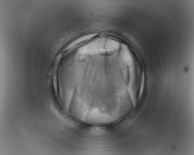 X0000116300451200912211905