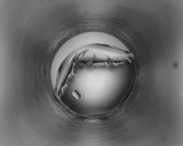 X0000116300452200912211905