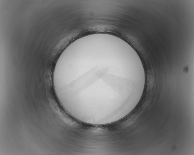 X0000116300453200912211905