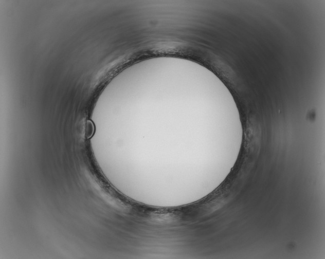 X0000116300454200912211905