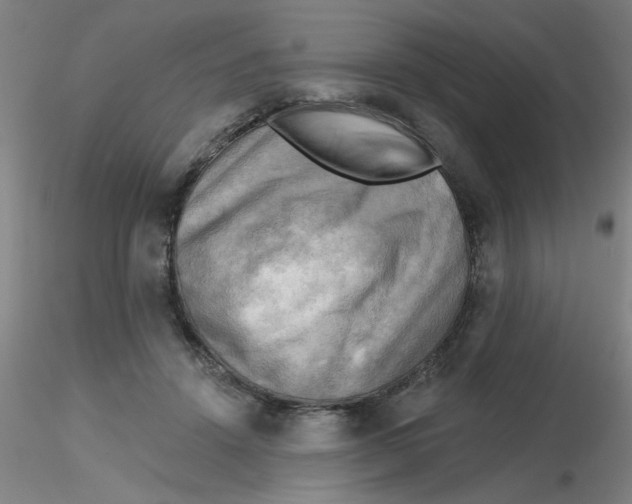 X0000116300456200912211905