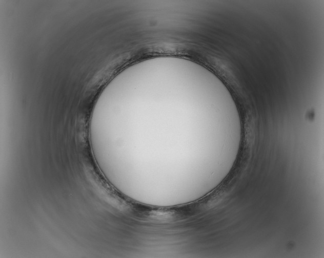 X0000116300457200912211905