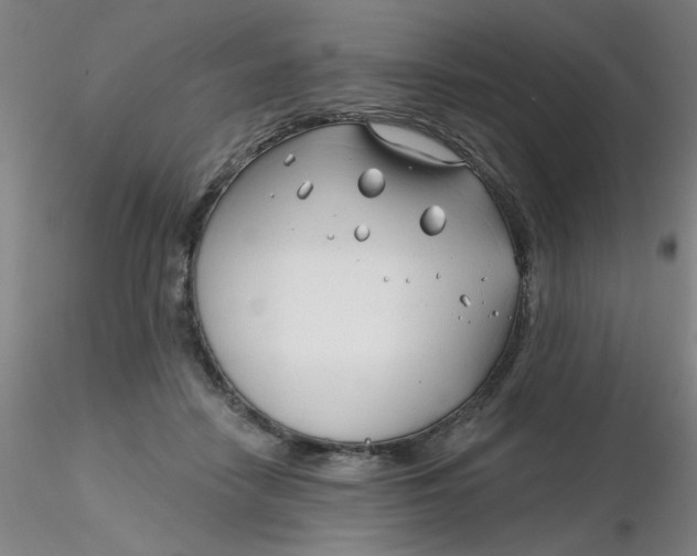 X0000116300458200912211905