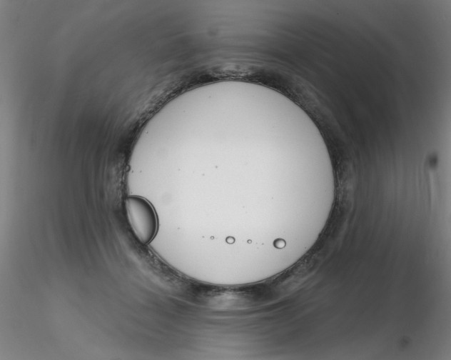 X0000116300460200912211905