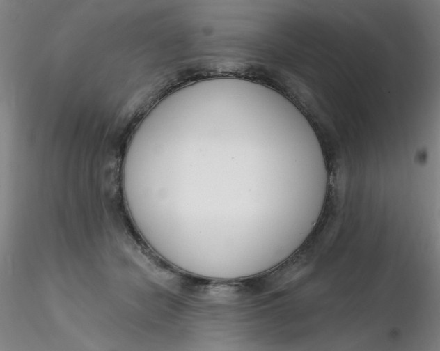 X0000116300462200912211905