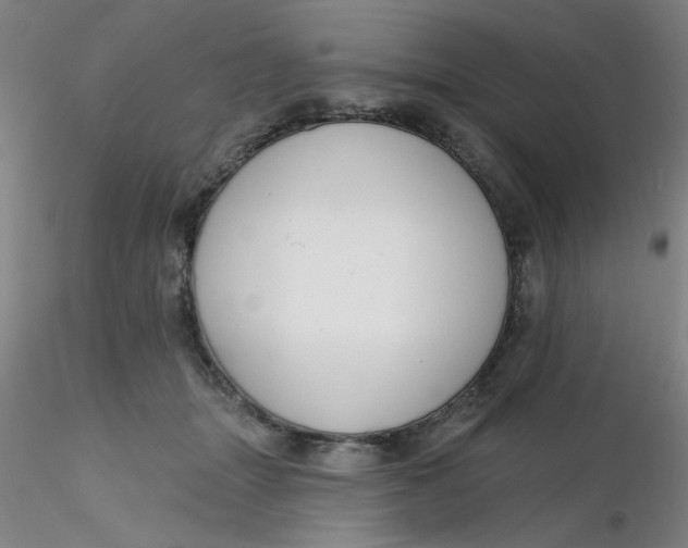 X0000116300463200912211905