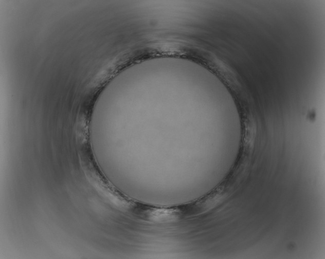 X0000116300465200912211905