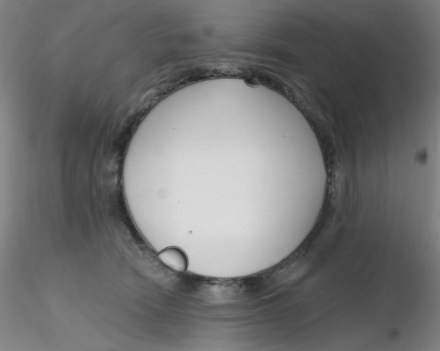 X0000116300466200912211905