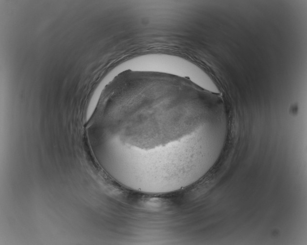 X0000116300467200912211905