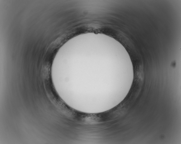 X0000116300468200912211905