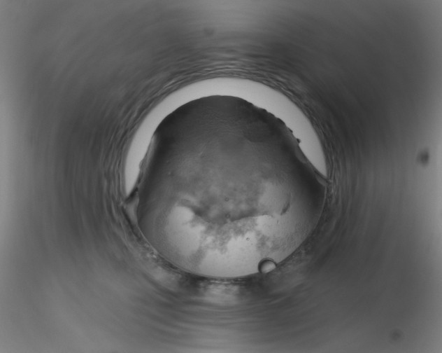 X0000116300471200912211905