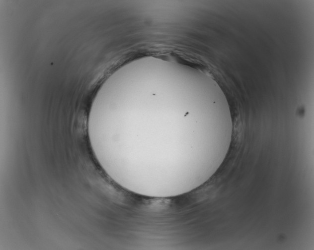 X0000116300474200912211905