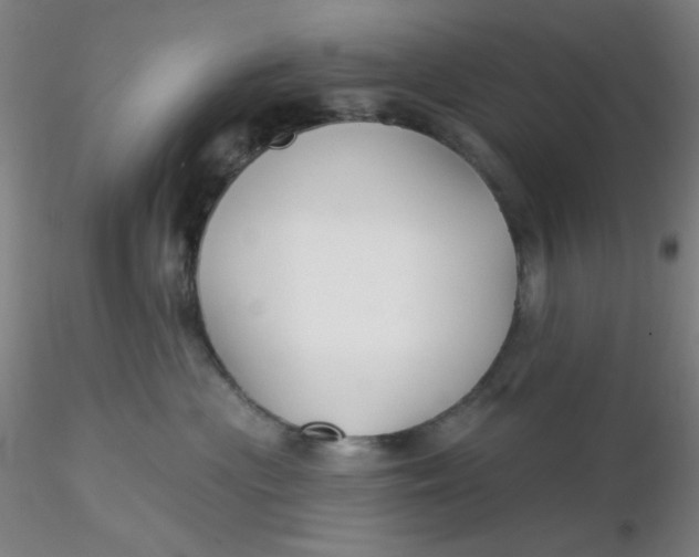 X0000116300477200912211905